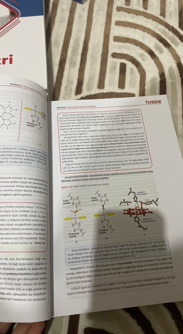 TUSEM Biyokimya Sınav Hazırlık Kitabı - Görsel 2