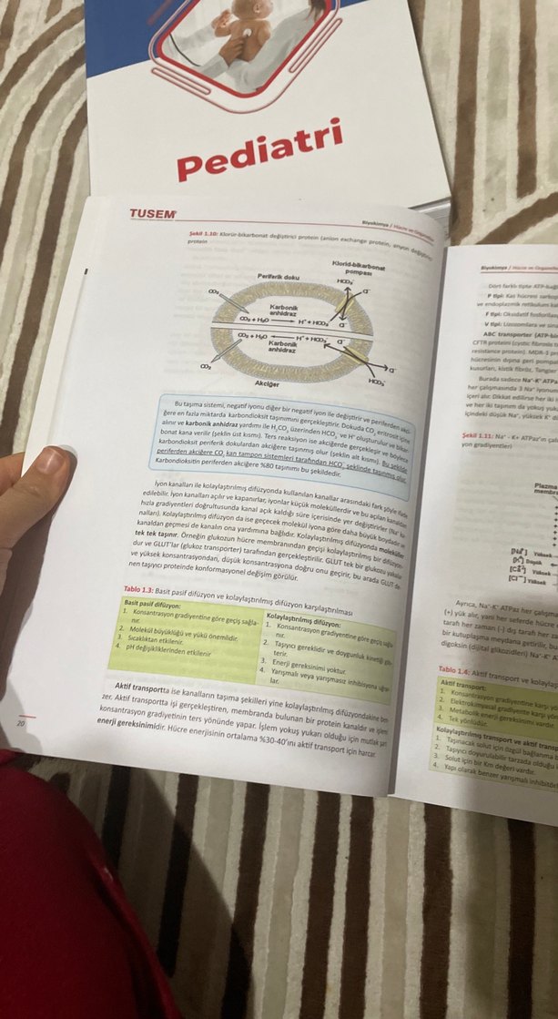 TUSEM Biyokimya Sınav Hazırlık Kitabı - Görsel 3