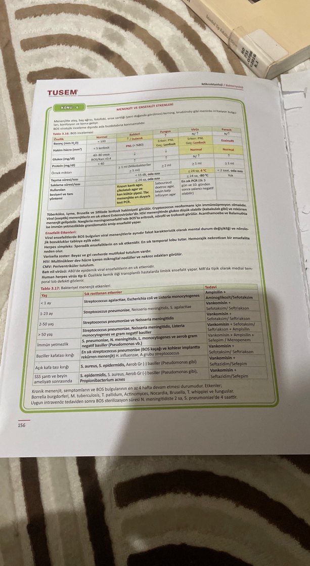 TUSEM Mikrobiyoloji Kitabı - Görsel 3