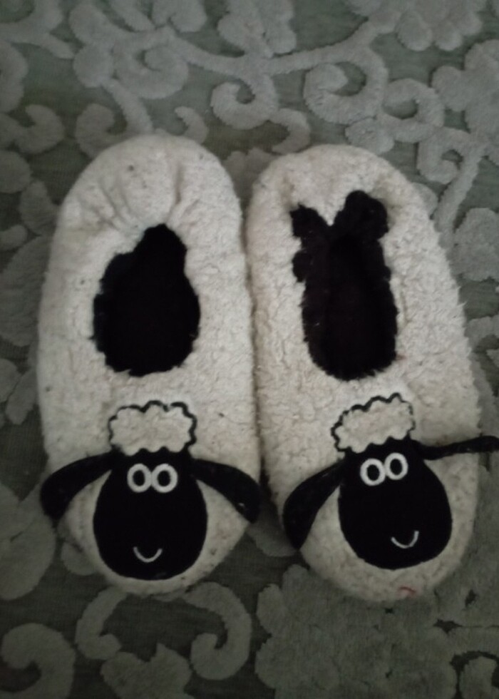 Köyün shaun panduf - Görsel 2