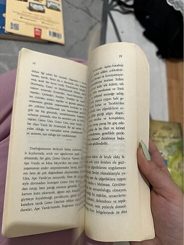 Beden Mehmet uzun nar çiçekleri kitabı