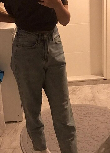 Kot Jean 