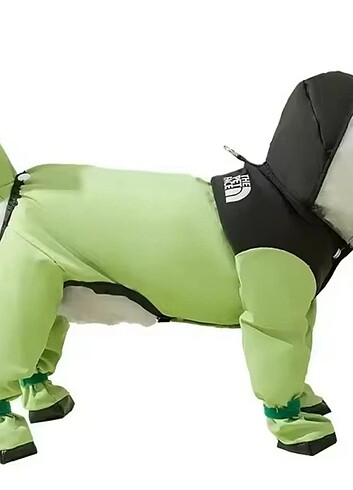 Köpek kapüşonlu yağmurluk