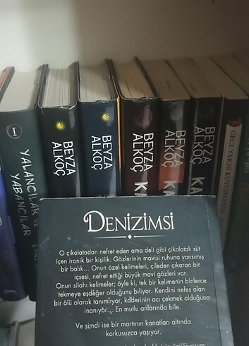  Beden Denizimsi 