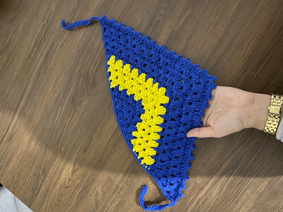 Fenerbahçe taraftar bandana - Görsel 2