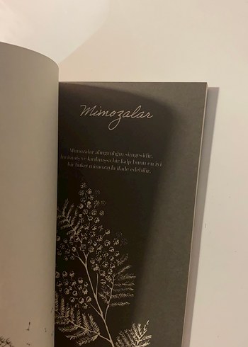 Ötanazı Okulu serisi - Görsel 3