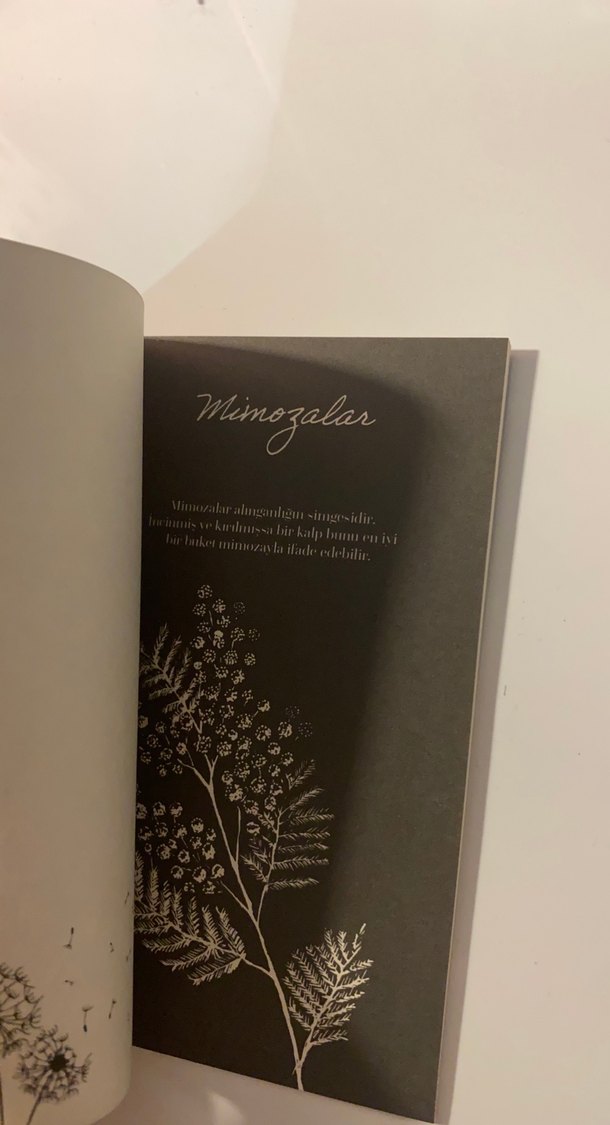 Ötanazı Okulu serisi - Görsel 3