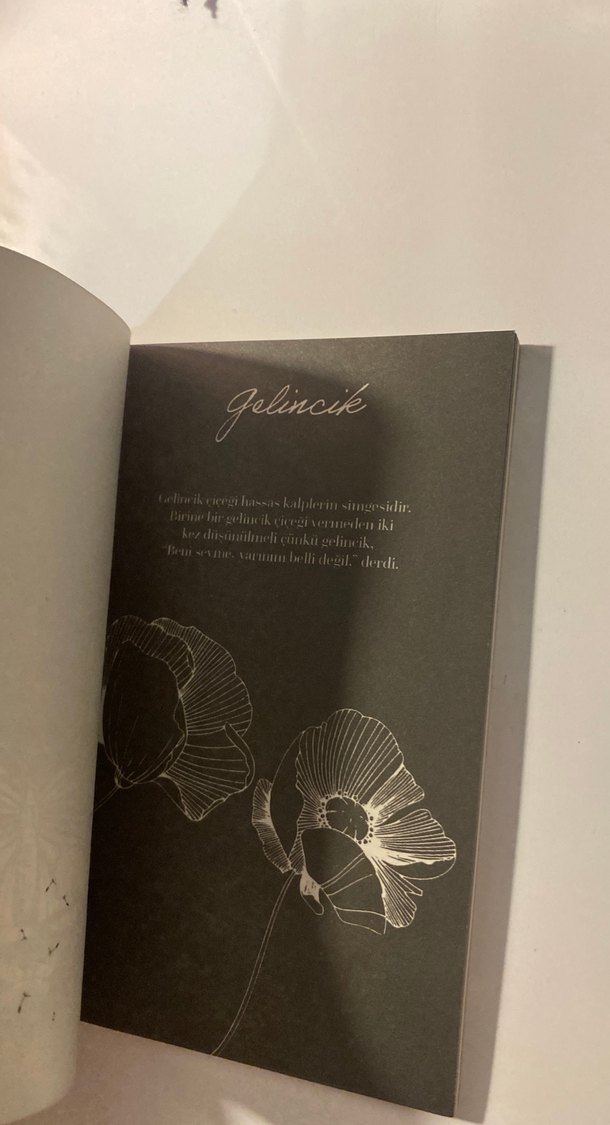 Ötanazı Okulu serisi - Görsel 5