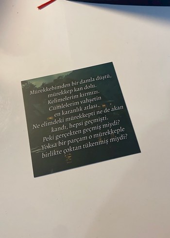 Tatsız Bir Öykü - Ceren Melek - Görsel 2