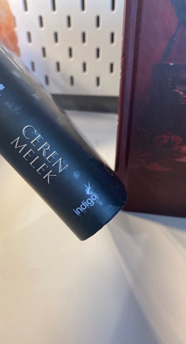 Tatsız Bir Öykü - Ceren Melek - Görsel 4