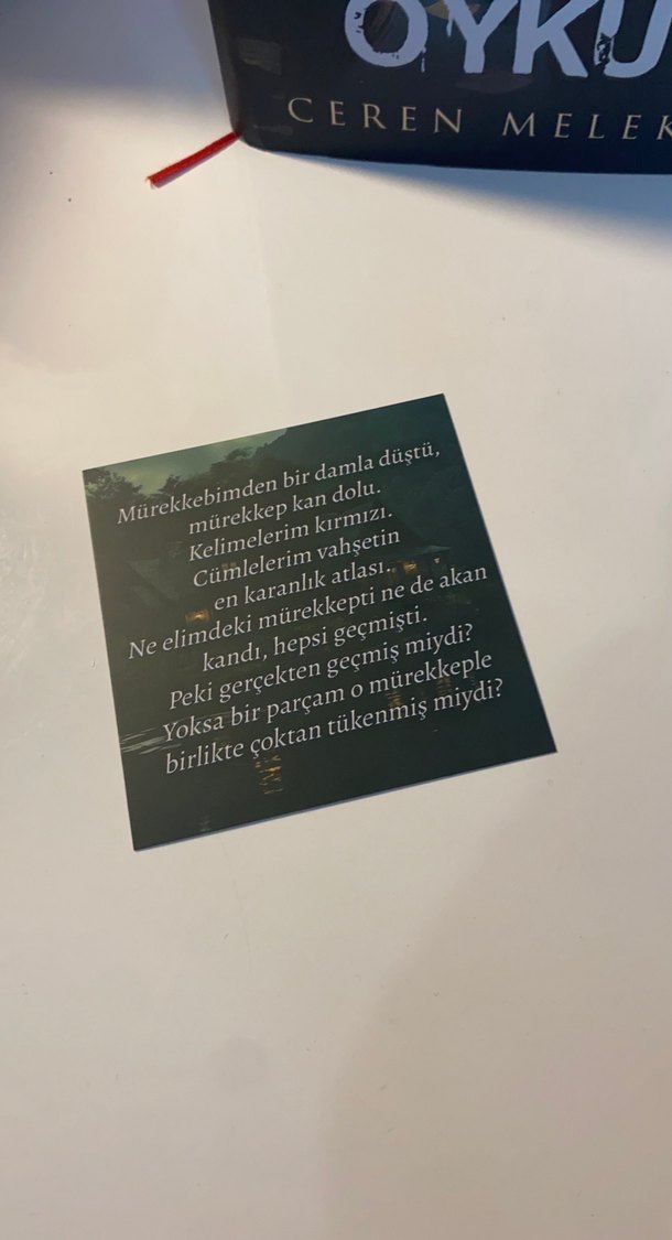 Tatsız Bir Öykü - Ceren Melek - Görsel 2