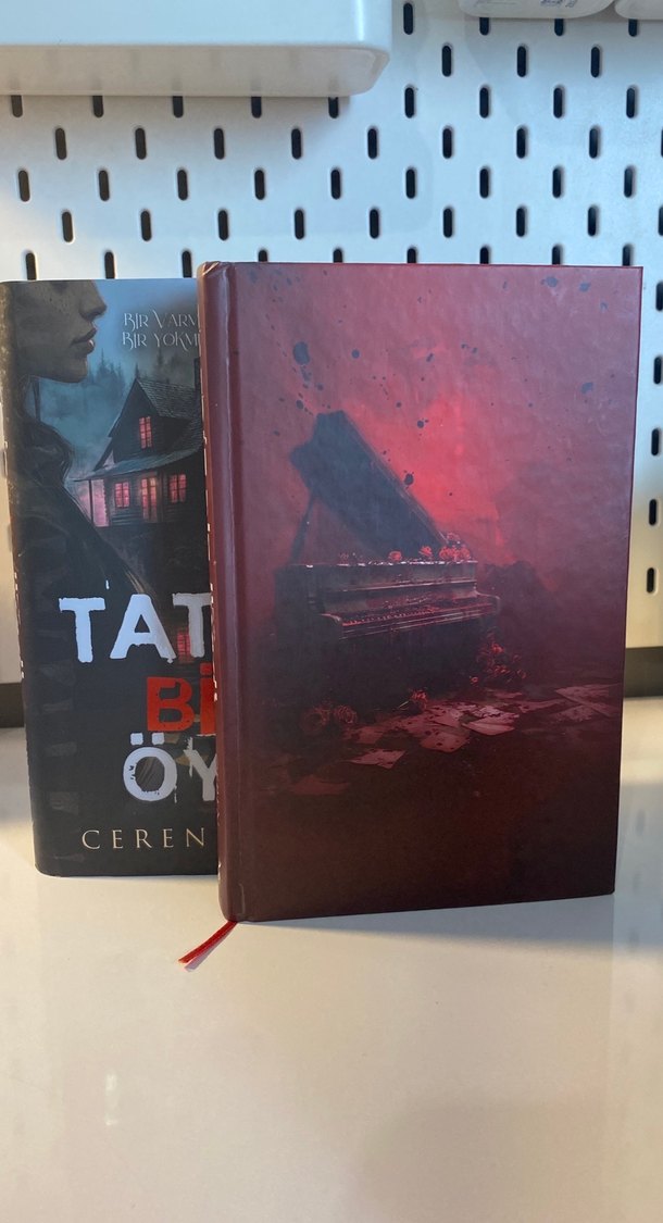 Tatsız Bir Öykü - Ceren Melek - Görsel 3