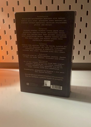 Emare Sarmaşık - Aslı Arslan - Görsel 4