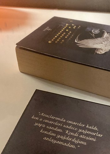 Emare Sarmaşık - Aslı Arslan - Görsel 3