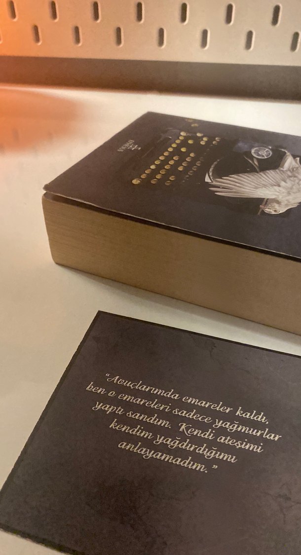 Emare Sarmaşık - Aslı Arslan - Görsel 3