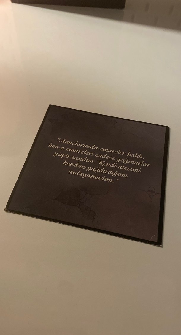 Emare Sarmaşık - Aslı Arslan - Görsel 2