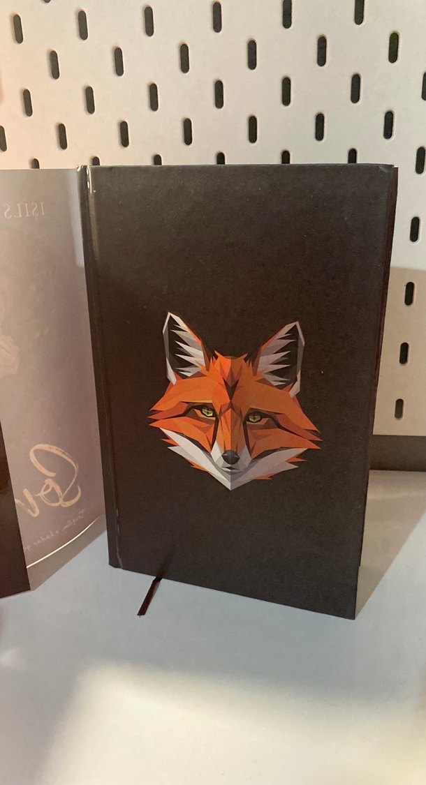 Sonât kitap - Görsel 3