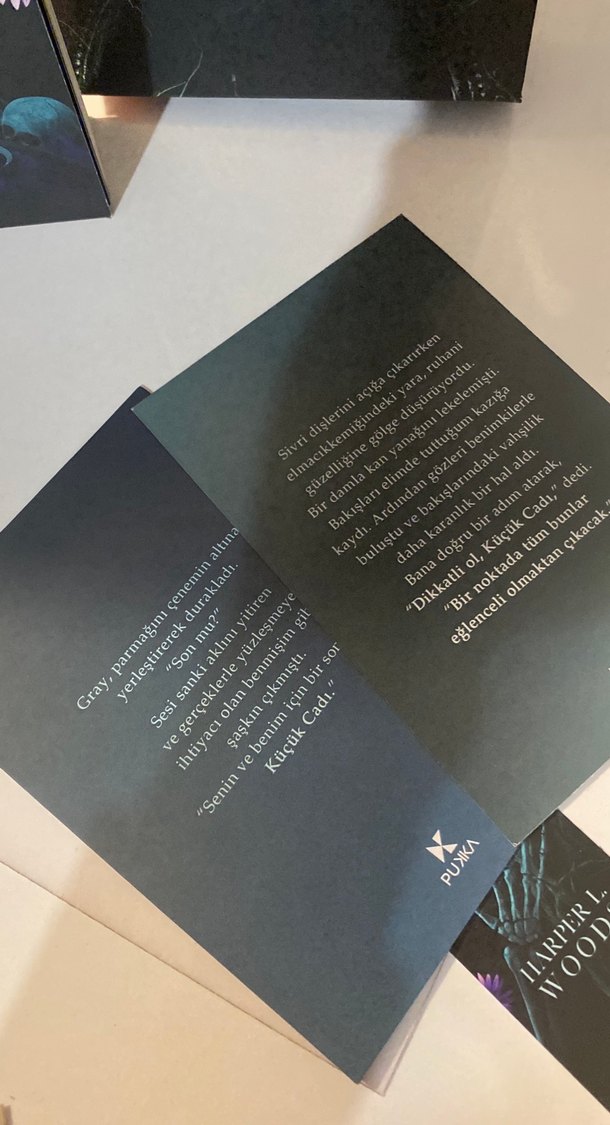 Cadılar Meclisi serisi - Görsel 3