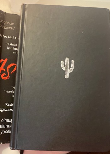 Asel-imzalı - Görsel 6