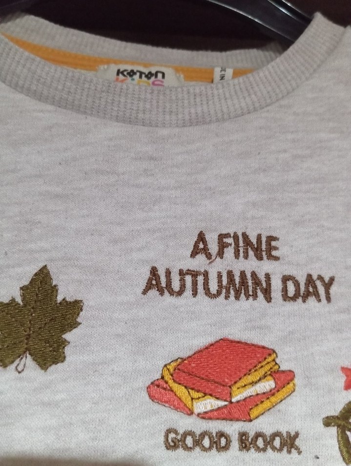 Kız Çocuk Gri Baskılı Sweatshirt - Görsel 2