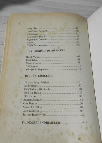 Bedrettin Aykin - Yalnızlıklar - Görsel 6
