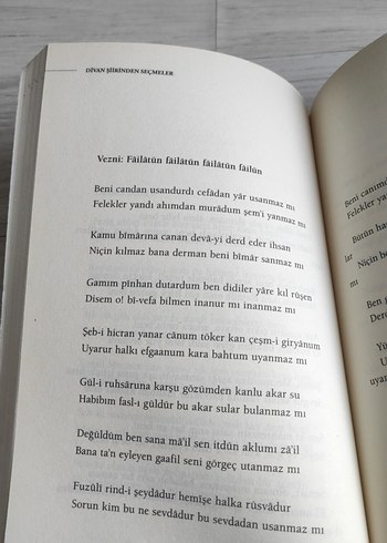 Divan Şiirinden Seçmeler Kitabı - Görsel 4