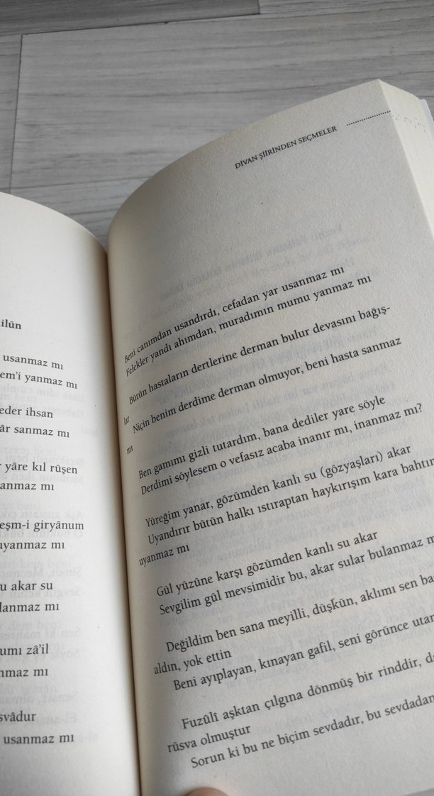 Divan Şiirinden Seçmeler Kitabı - Görsel 5