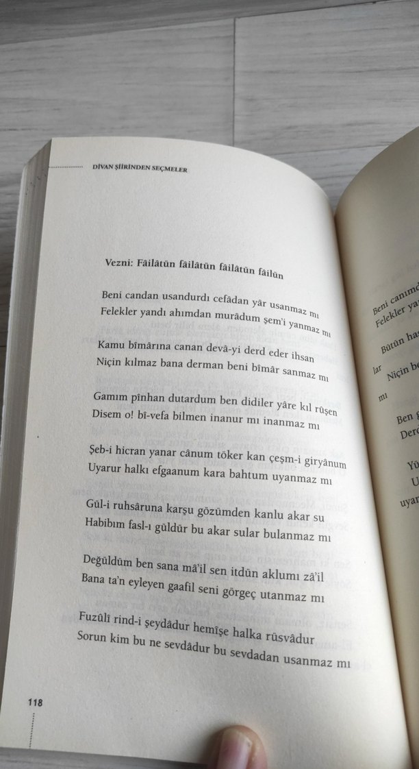 Divan Şiirinden Seçmeler Kitabı - Görsel 4