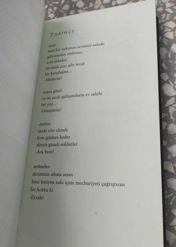 Kayıp Kentin Yakışıklısı - Yılmaz Erdoğan - Görsel 7