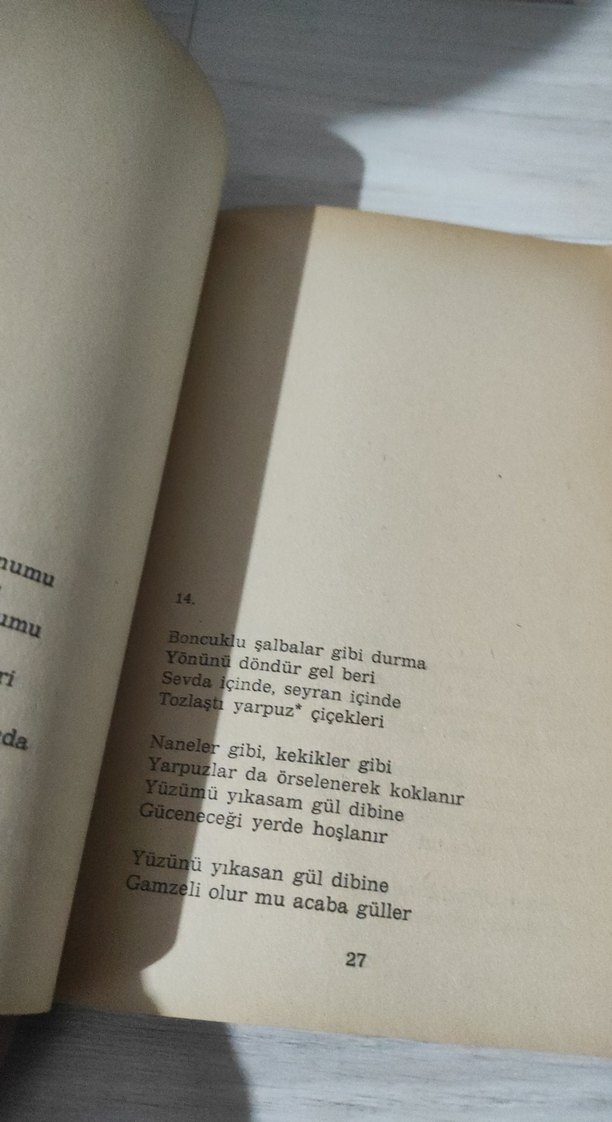 Yakımlar - Abdülkadir Bulut - Görsel 5