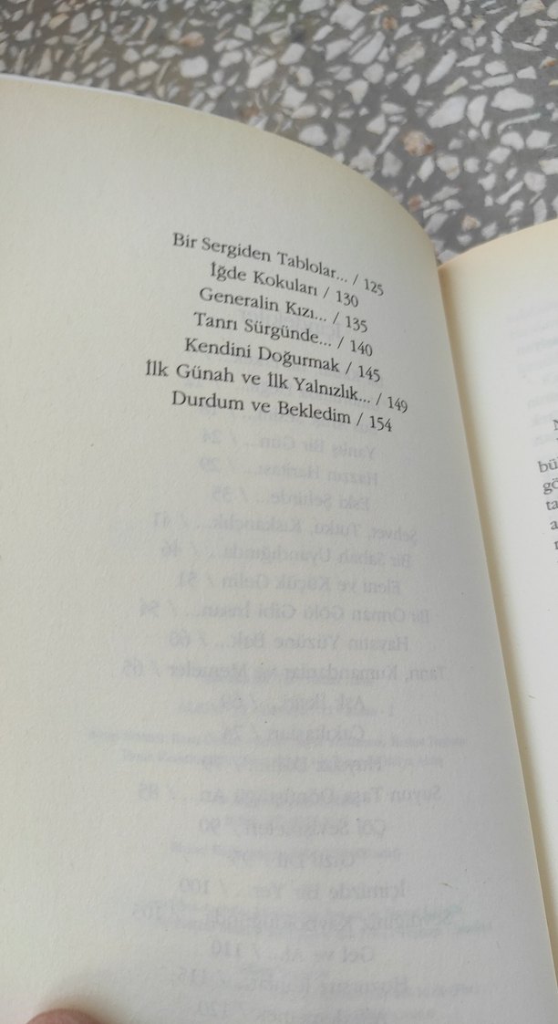 Ahmet Altan - İçimizde Bir Yer - Görsel 5