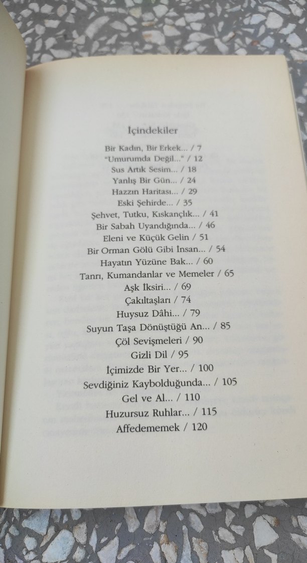 Ahmet Altan - İçimizde Bir Yer - Görsel 4