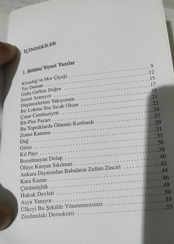 Filizkıranlar - Raşit Kara Gazete Makaleleri - Görsel 5