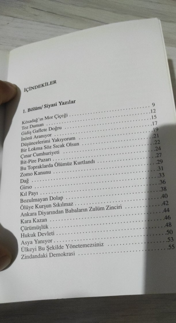 Filizkıranlar - Raşit Kara Gazete Makaleleri - Görsel 5