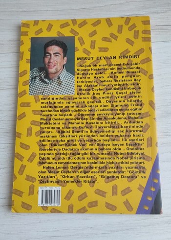 Başlayalı Çok Oldu Mu? - Mesut Ceylan - Görsel 2