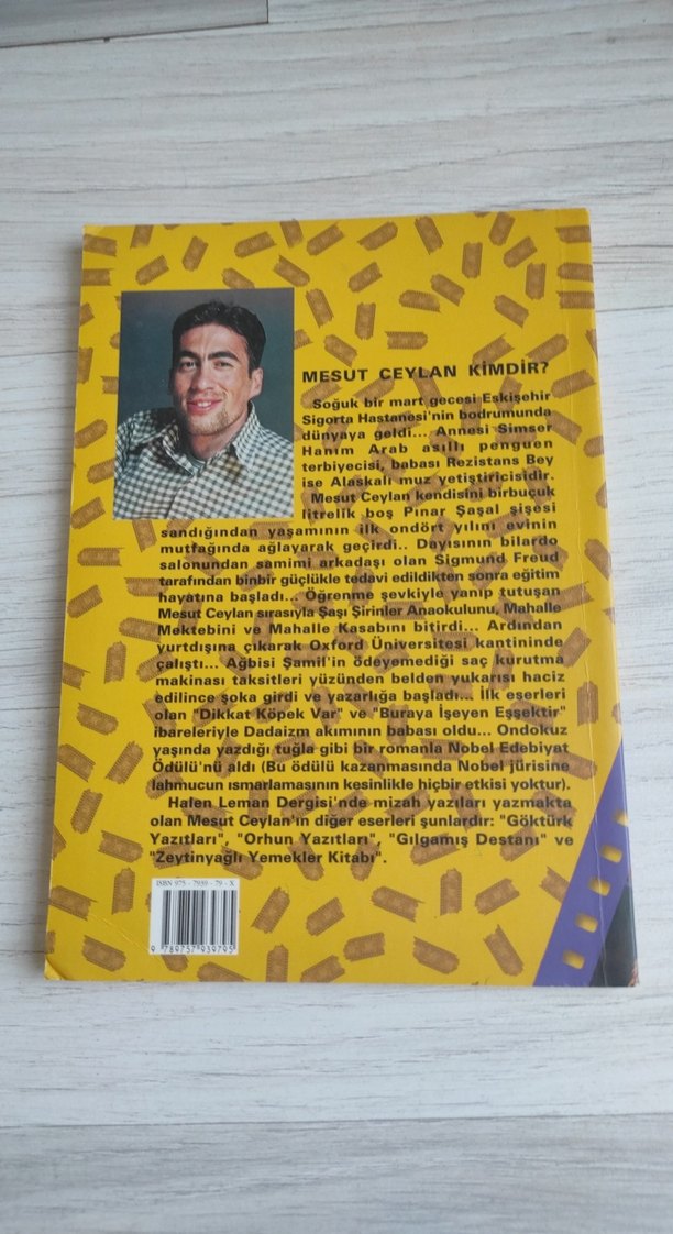 Başlayalı Çok Oldu Mu? - Mesut Ceylan - Görsel 2