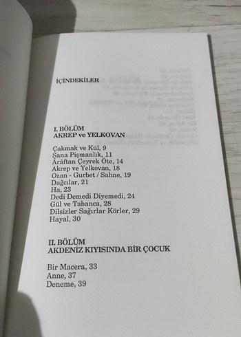 Akdeniz Kıyısında Bir Çocuk - İhsan Işık - Görsel 4