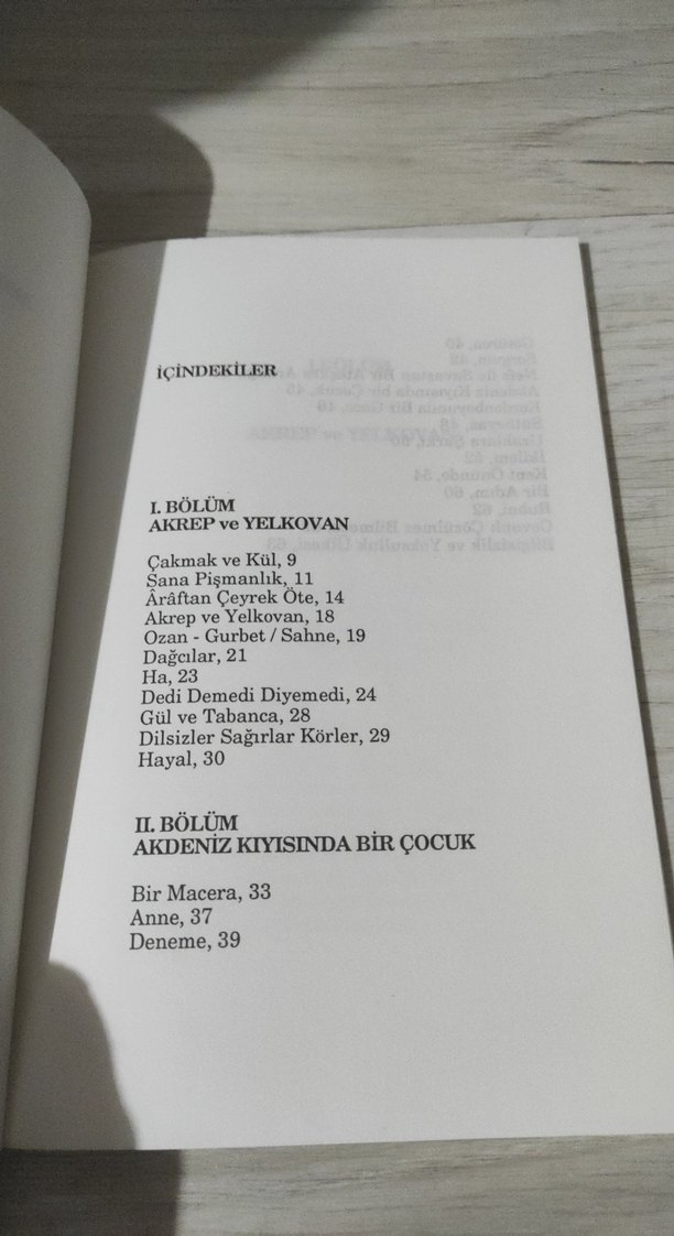 Akdeniz Kıyısında Bir Çocuk - İhsan Işık - Görsel 4