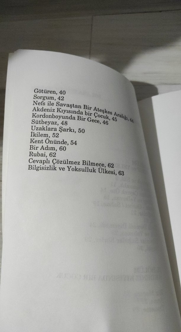 Akdeniz Kıyısında Bir Çocuk - İhsan Işık - Görsel 5