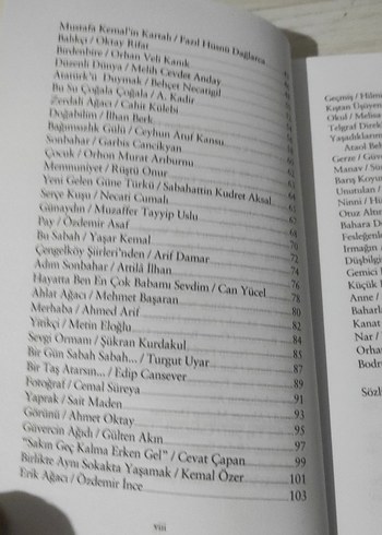 Şiir Dünyasına Yolculuk - Seçme Şiirler Kitabı - Görsel 5