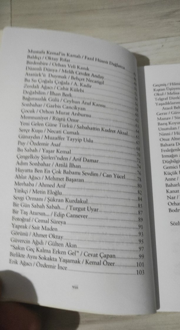 Şiir Dünyasına Yolculuk - Seçme Şiirler Kitabı - Görsel 5