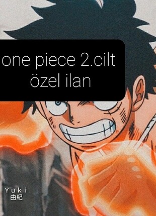 one piece 2. cilt