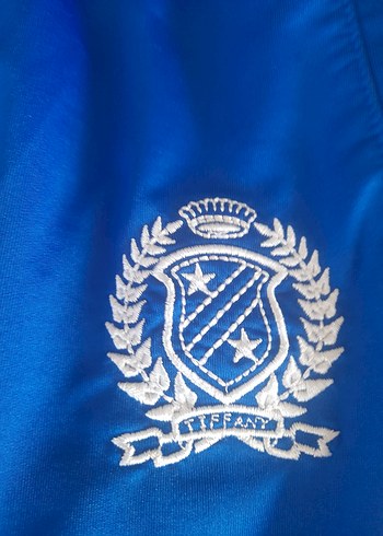 Mavi Renk  Rahat Kesim Eşofman Altı - Görsel 8