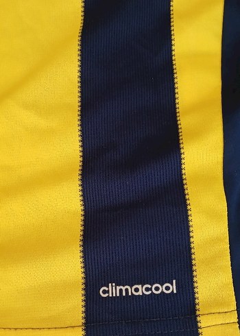 12-13 yaş Erkek Sarı Lacivert Çizgili Fenerbahçe Forma - Görsel 8