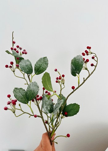 English Home Yılbaşı kokina - Görsel 2