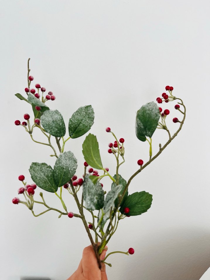 English Home Yılbaşı kokina - Görsel 2