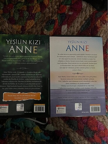  Anne with an e / Yeşilin kızı Anne