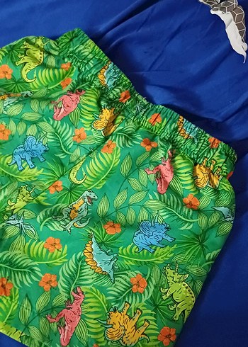 Renkli Baskılı Erkek Çocuk Mayo Şortu - Görsel 7