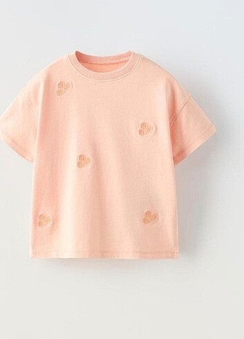 Zara tshirt