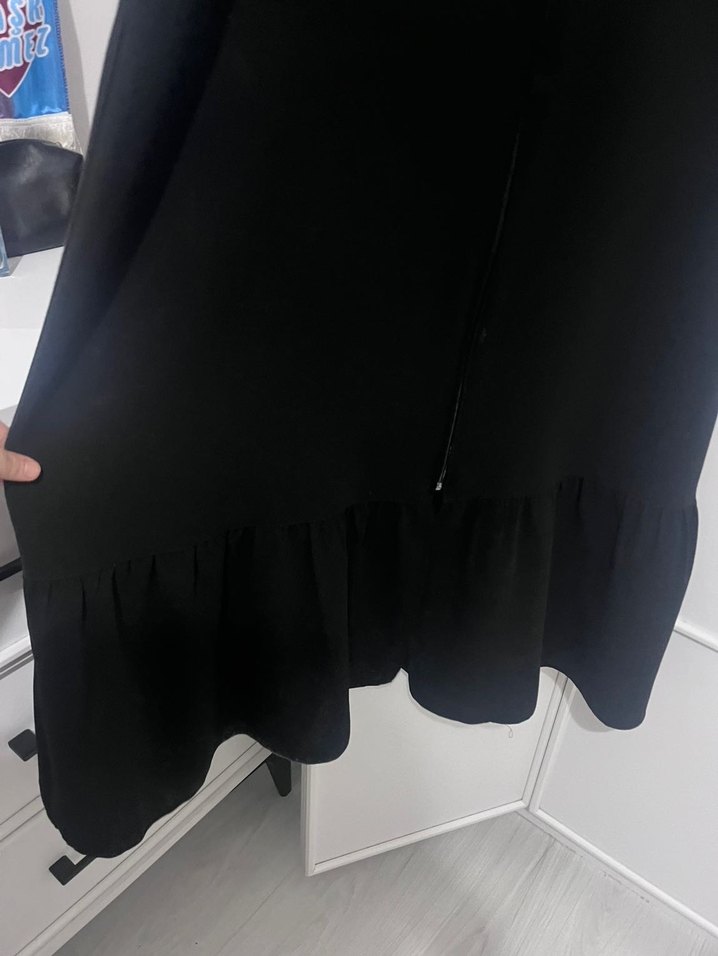 Siyah Pardüse - Görsel 3